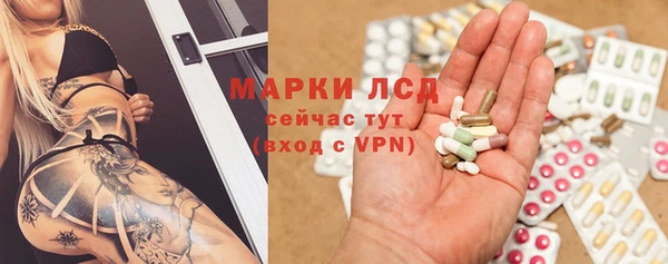 гидра Бородино