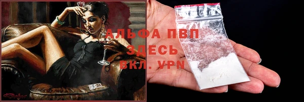 стаф Бугульма