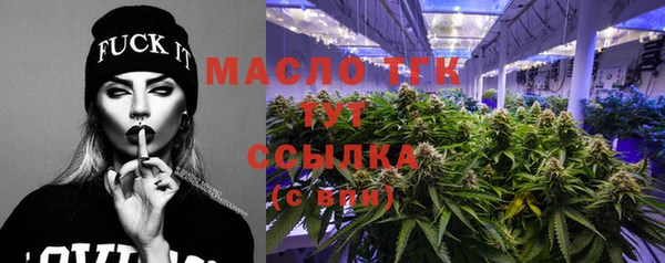 гидра Бородино