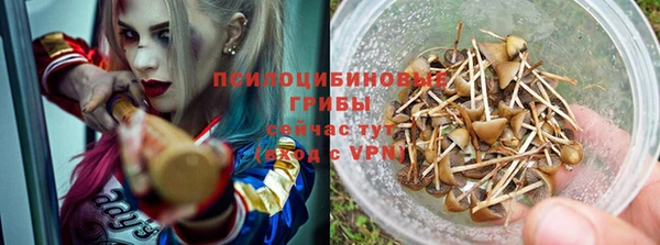 стаф Бугульма