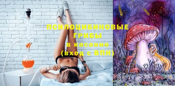 гидра Бородино
