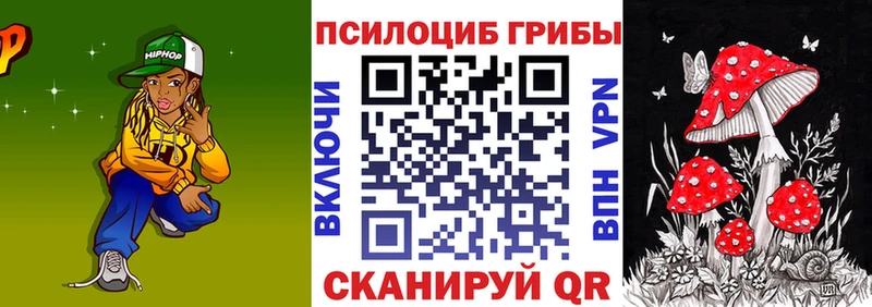 Галлюциногенные грибы Psilocybine cubensis  купить наркотики сайты  Северобайкальск 